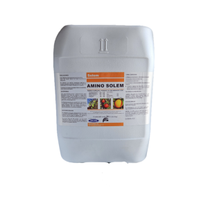 AMINO SOLEM