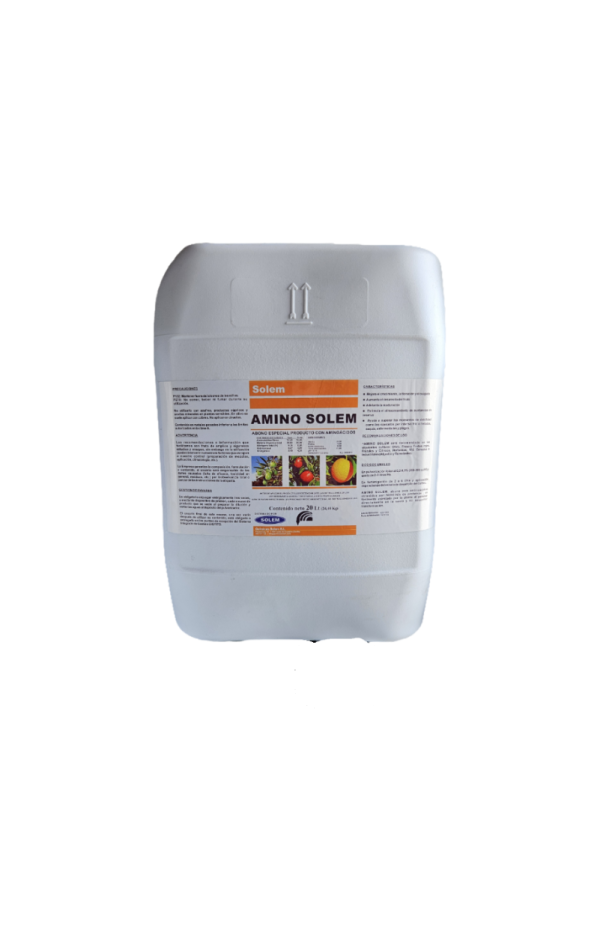 AMINO SOLEM