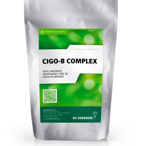 CIGO-B COMPLEX