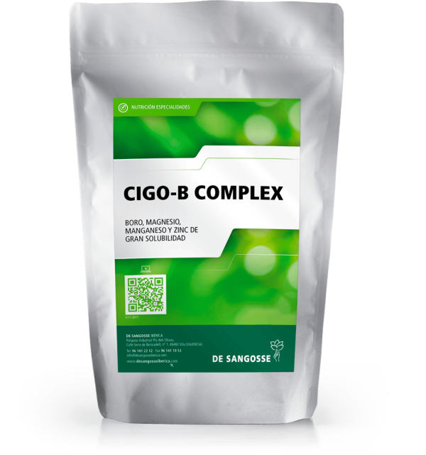 CIGO-B COMPLEX