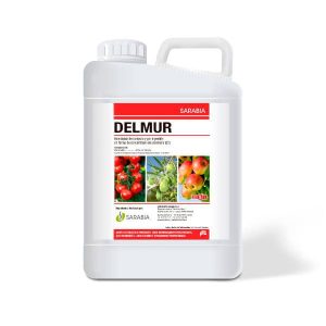 DELMUR