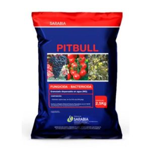 Pitbull