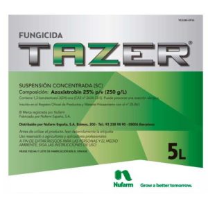 Tazer