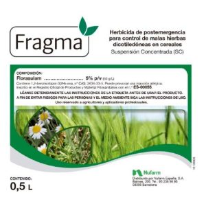 Fragma