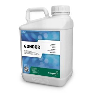 Gondor