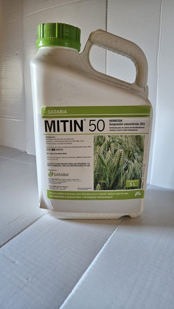Mitin 50