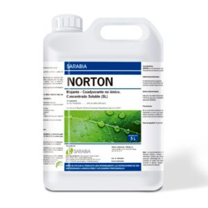 Norton