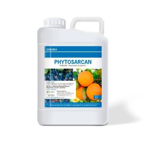 PHYTOSARCAN