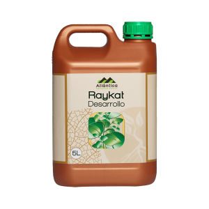 RAYKAT DESARROLLO