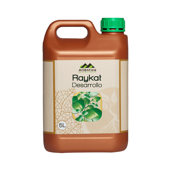 RAYKAT DESARROLLO
