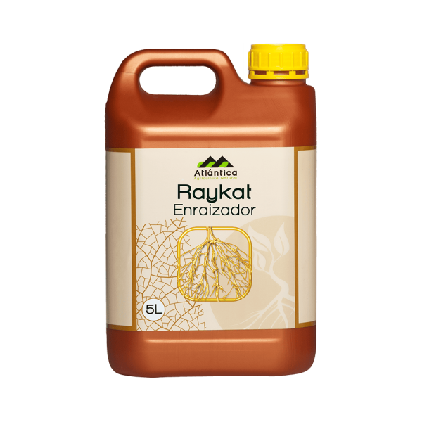 RAYKAT ENRAIZADOR