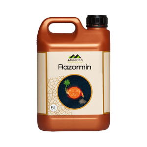 RAZORMIN