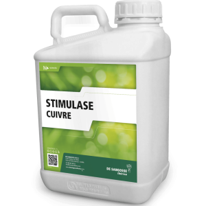 STIMULASE CUIVRE