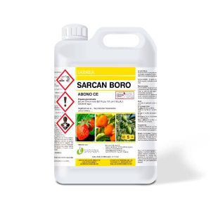 Sarcan Boro