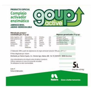 Go Up Active