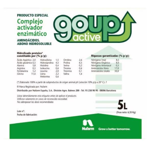 Go Up Active