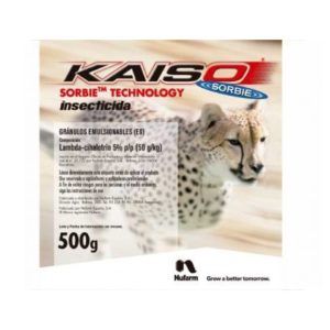 Kaiso Sorbie
